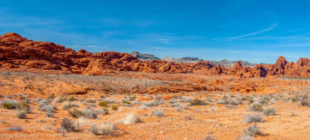 Valley of fire Aztec Sandstone Panorama The sun is high over the Aztec Sandstone formations of Valley of Fire State Park in Nevada. extreme terrain stock pictures, royalty-free photos & images