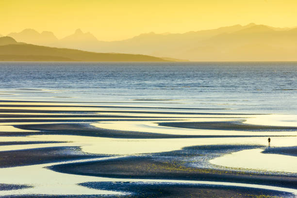 Vancouver Island British Columbia View of the Strait of Georgia and the coastal mountains from Vancouver Island, British Columbia low tide stock pictures, royalty-free photos & images