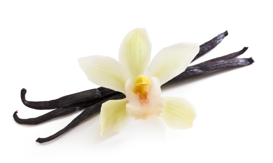 Vanilla beans and orchid isolated on white. Selective focus.