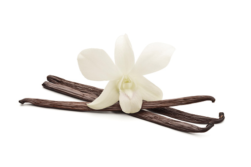 Vanilla beans with orchid isolated on white background