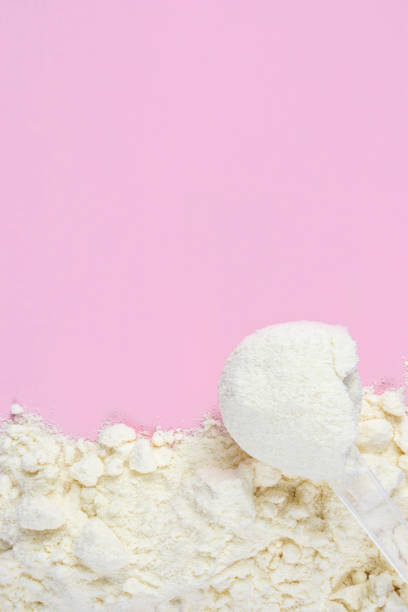 vanilla protein powder scoop on pink background. egg powder, soy and whey powder, casein supplements. - pea protein powder isolated bildbanksfoton och bilder