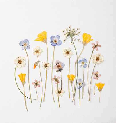 Artistic arrangement of little garden flowers