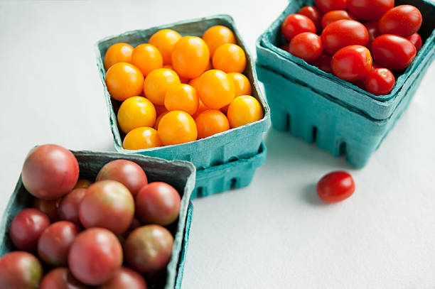 variety of cherry tomatoes stock photo