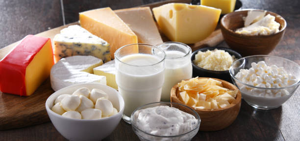 A variety of dairy products including cheese, milk and yogurt stock photo