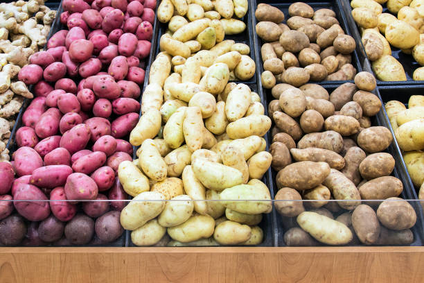Variety of Potatoes stock photo