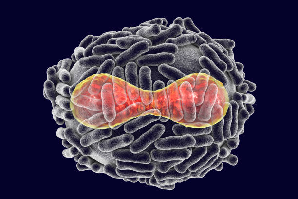 illustrazione del virus variola - vaiolo foto e immagini stock