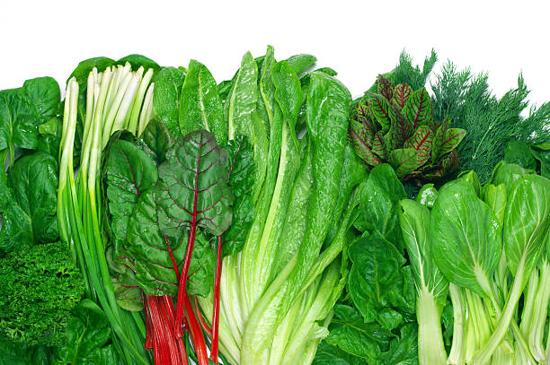 Various leafy vegetables Various green leafy vegetables in row on white background. Top view point. chard stock pictures, royalty-free photos & images