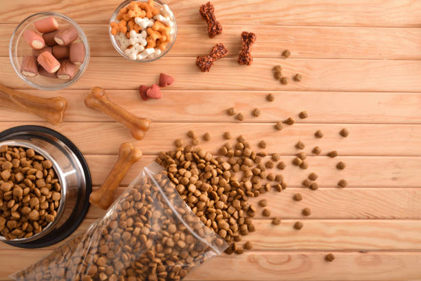 Various types of dry food for dog on table top stock photo
