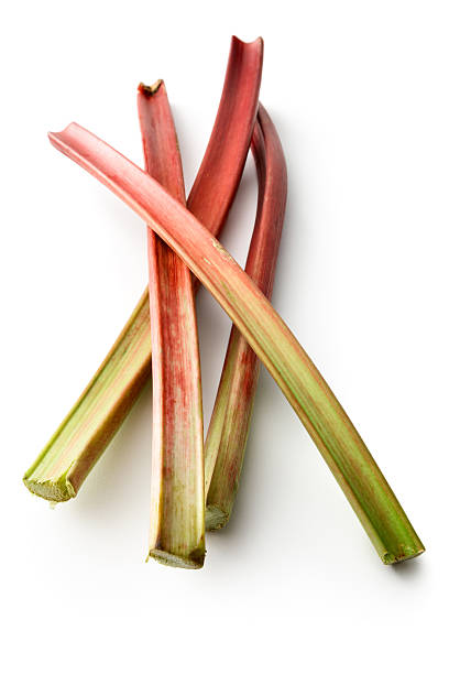 vegetables: rhubarb isolated on white background - rabarber on white bildbanksfoton och bilder