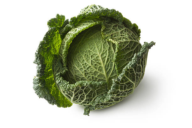 gemüse: savoy cabbage - wirsing zubereiten stock-fotos und bilder