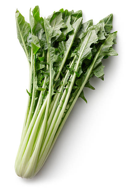 Vegetables: Turnip Greens Isolated on White Background More Photos like this here... turnip stock pictures, royalty-free photos & images