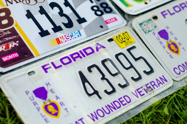 17 Florida License Plate Stock Photos, Pictures & Royalty-Free Images - iStock