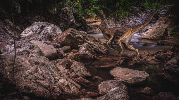 Velociraptor Dinosaur  in the  forest . stock photo