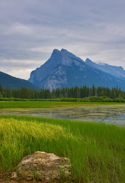 Vermilion Lakes Overlooking Mount Rundle. Rocky mountain canada ( Canadian Rockies ). Near the city of Calgary. Portrait, fine art. Banff National Park, Alberta, Canada: August 4, 2018 stock photo