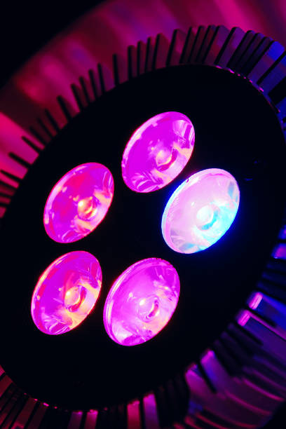 vertical close-up view of the pink led lamp for plant growing - techno agriculture imagens e fotografias de stock