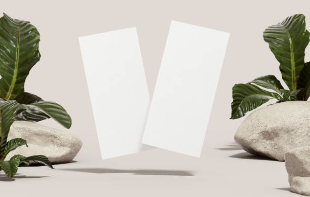 Vertical DL flyer mockup blank organic paper for design presentation. White empty leaflet template floating with plants on the background in 3D illustration stock photo