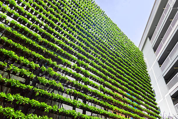 Vertical Garden – Green Wall –  BioWall Wall of a building covered with plants,  plants grow in special hydroponic pots urban garden stock pictures, royalty-free photos & images