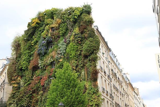 Vertical garden on façade of residential building in central Paris stock photo