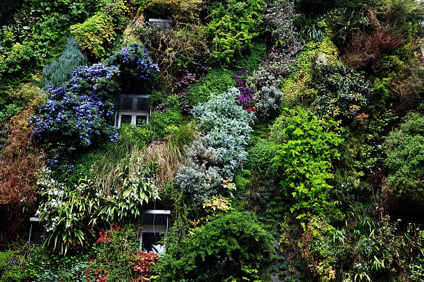 Vertical garden on residential building in central Paris stock photo
