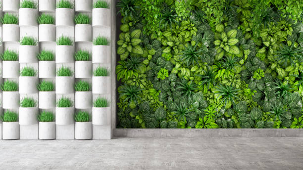 jardin vertical avec le mur vide - architecture ecologie photos et images de collection