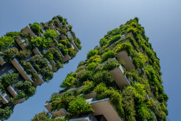 vertical wood Milan Italy June 29, 2019: ecological house with garden on every terrace that turns the building into a vertical wood roof garden stock pictures, royalty-free photos & images