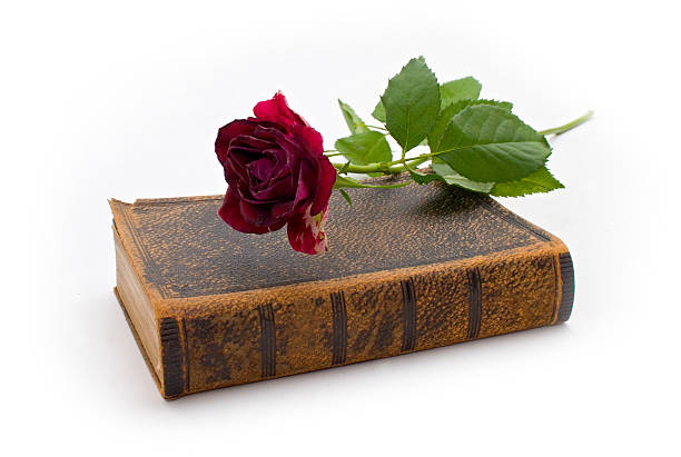 Very old book with dark red rose A very old book with leather binding and a rose on top. romance book cover stock pictures, royalty-free photos & images