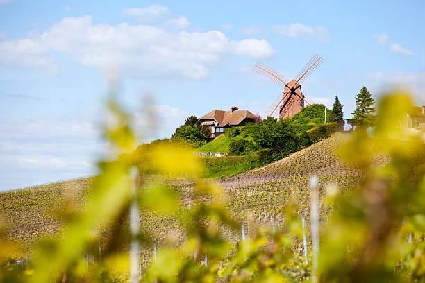 verzenay windmill champagne - reims photos et images de collection