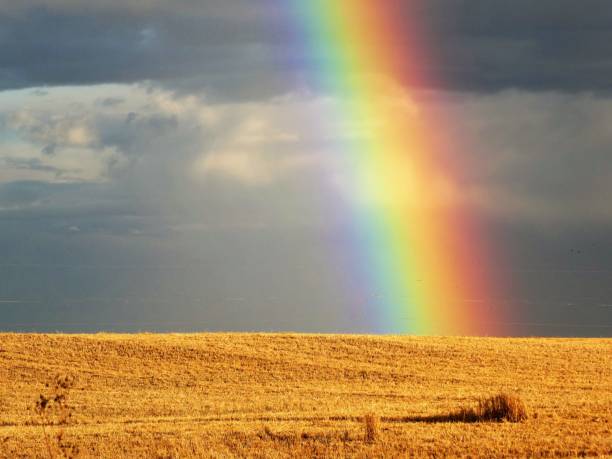 Vibrant Rainbow Over a Harvested Field of Grain stock photo