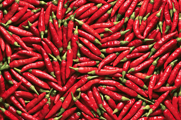 leuchtend roter paprika - chili schote stock-fotos und bilder