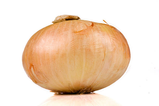 Vidalia sweet onion isolated on white stock photo