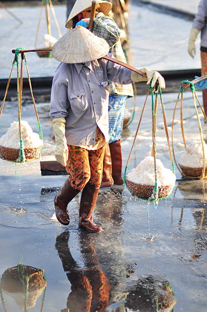 Vietnamese women are burdening hard to collect salt Ninh Hoa, Vietnam - March 2, 2012: Vietnamese women are burdening hard to collect salt from the extract fields to the storage fields spices of the world stock pictures, royalty-free photos & images