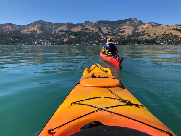 View from a kayak stock photo