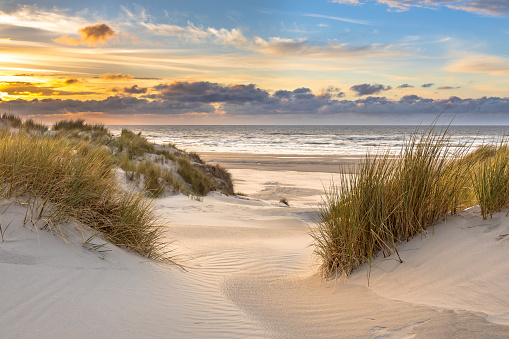 View from dune top over sunset in North Sea from the island of Ameland, Friesland, Netherlands