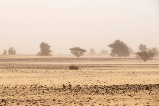 A view from Sudan desert during a sandstorm stock photo