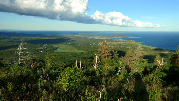 View from the Acadian Trail in Cape Breton, Nova Scotia stock photo