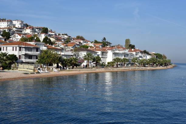 https www istockphoto com photos kinali