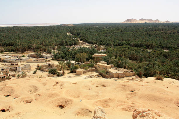 View from the Mountain of the Dead towards the date palm plantation in the Siwa Oasis, Egypt, with the salt lake in the background stock photo