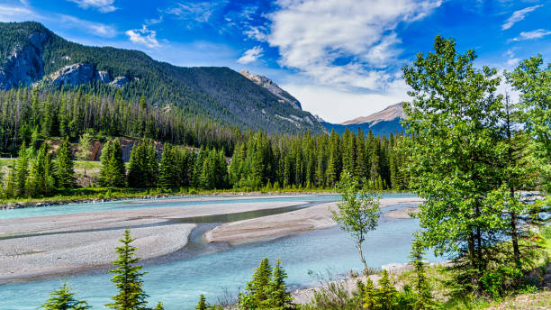 View from the Rocky Mountaineer train traveling through the Rocky Mountains stock photo