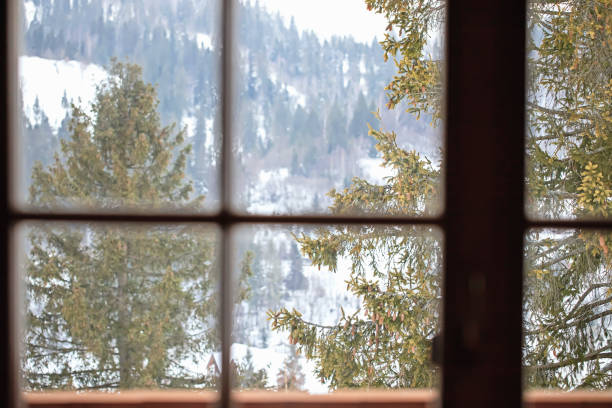 view from the window on the snow-covered forest. Carpathians. Ukraine. window to Europe stock photo