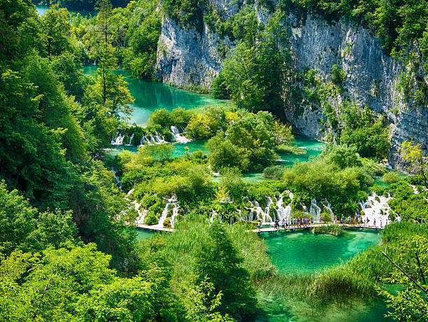 View from top on Plitvice Lake National Park stock photo