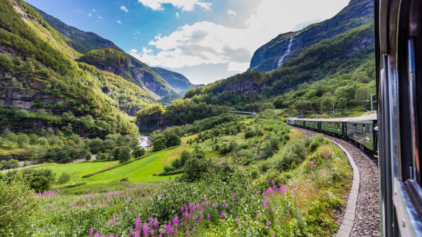 View from train Flamsbana View from the most beautiful train journey Flamsbana between Flam and Myrdal in Aurland in Western Norway west direction stock pictures, royalty-free photos & images