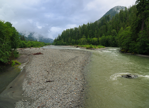 View From Upper Bridge To the Quinault River Olympic National Park On A Cloudy Summer Day