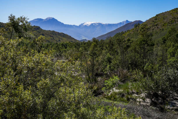 A view of a distant snow-capped mountain in the Western Cape. stock photo