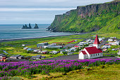 istock View of basalt stacks Reynisdrangar, black sand beach near Vik and violet lupine flowers and lonely church, South Iceland, summer time 1225587414
