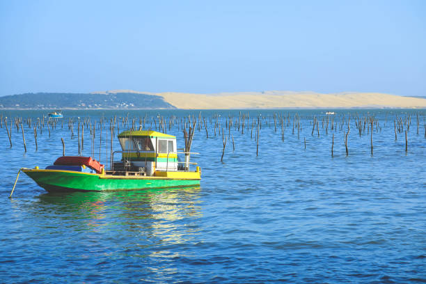 View of Bassin d'Arcachon and Dune du Pyla, stock photo