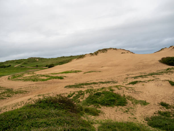 View of Braunton Burrows - SSSI in North Devon and part of Biosphere. View of Braunton Burrows - a Sight of Special Scientific Interest ie SSSI in North Devon. Part of Biosphere. braunton stock pictures, royalty-free photos & images