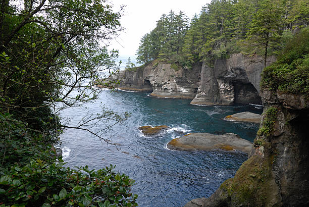 View of Cape Flattery  Cape Flattery at Neah Bay near Olympic National Park neah bay stock pictures, royalty-free photos & images