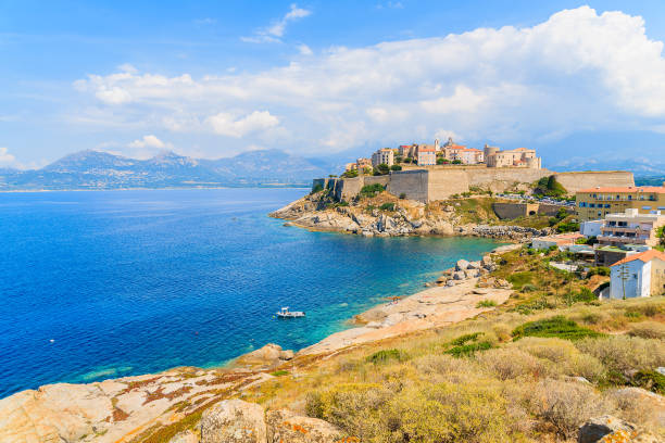 View of citadel with houses in Calvi bay, Corsica island, France. stock photo