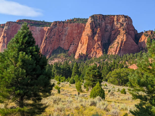 View of Kolob Canyons red rocky cliffs near Hop Valley Trailhead in Zion National Park Utah and mountain meadow with scattered pine trees stock photo