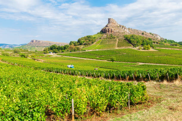 View of la Roche de Solutré with vineyards, in Burgundy, France stock photo